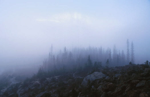 Fog/ kabut, indikasi rawan icing