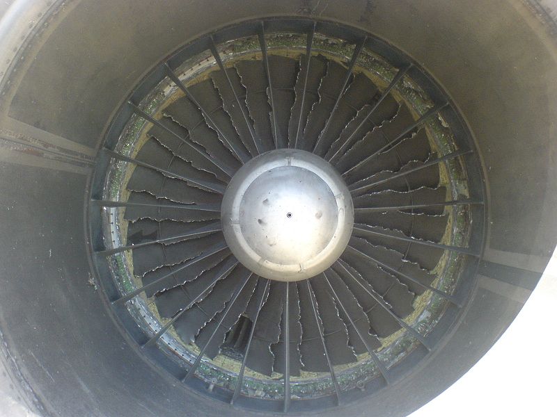 Bilah turbin mesin jet yang rusak karena burung